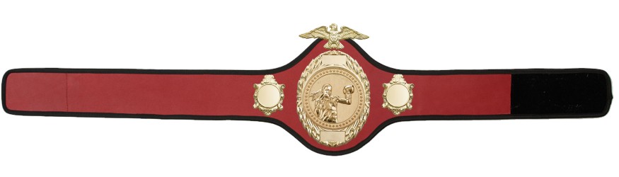FEMALE BOXING CHAMPIONSHIP BELT-PRO288/GOLD/FEMBOXG-10 COLOURS FEMALE BOXING CHAMPIONSHIP BELT-PRO288/GOLD/FEMBOXG-10 COLOURS
